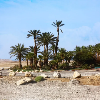 Luxury-Tours-Egypt-Desert