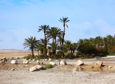 Luxury-Tours-Egypt-Desert